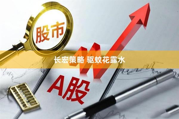 长宏策略 驱蚊花露水