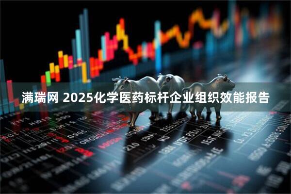 满瑞网 2025化学医药标杆企业组织效能报告